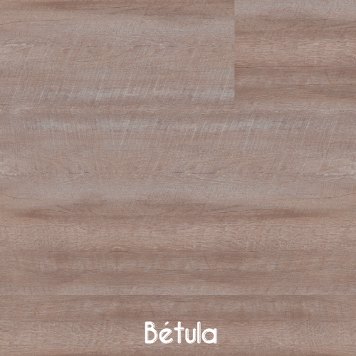 R32028 Bravo - Bétula.png