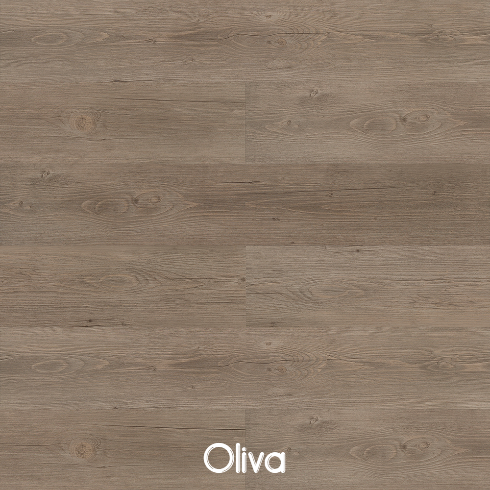 R32020 Bravo - Oliva.png